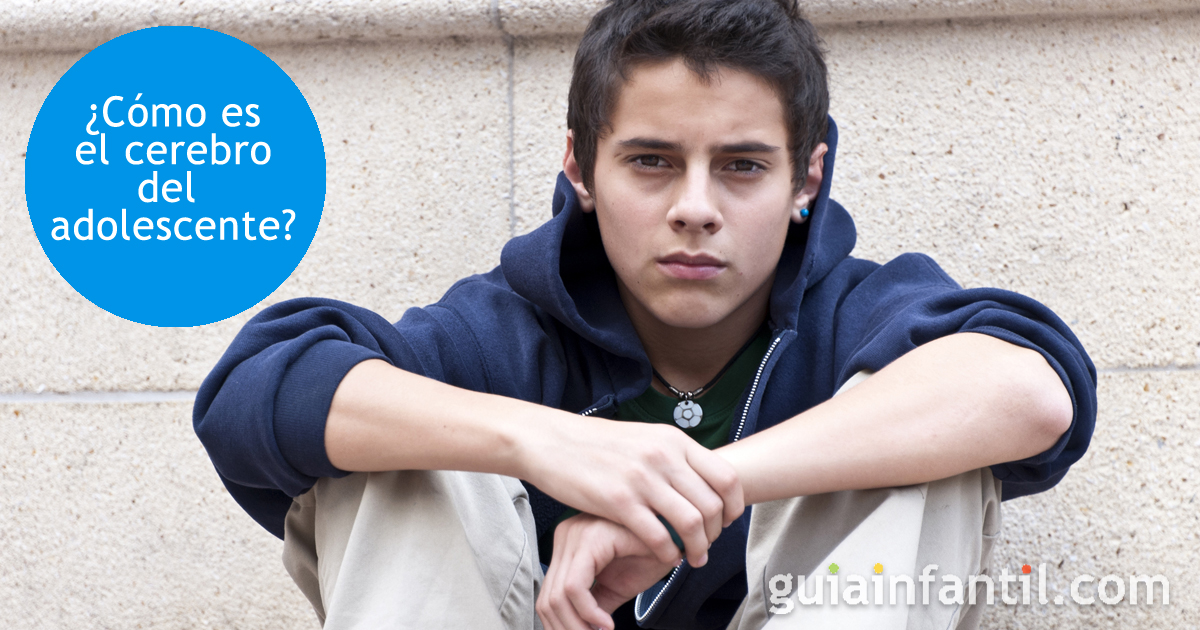 ¿Cómo es el cerebro del adolescente?
