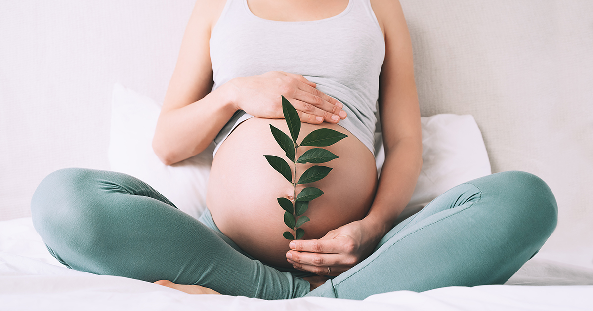 Qué ocurre en tu embarazo, mes a mes