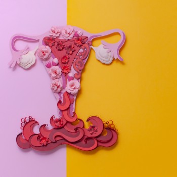 Fase folicular y embarazo. Conoce tu ciclo menstrual para tener un bebé