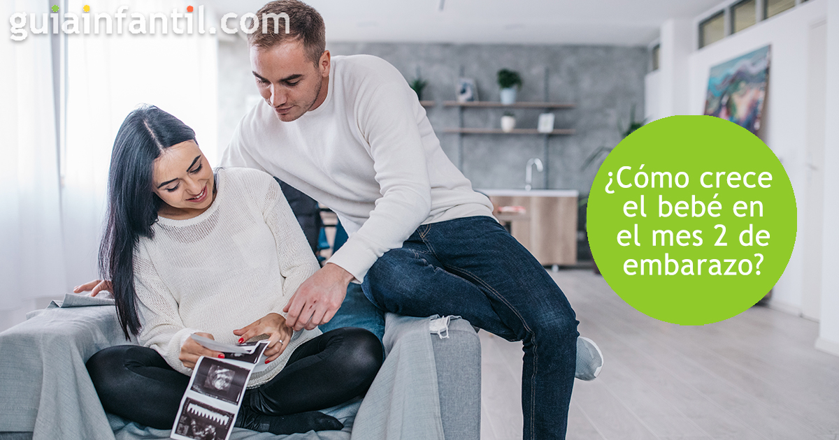 Desarrollo del bebé en el mes 2 de gestación