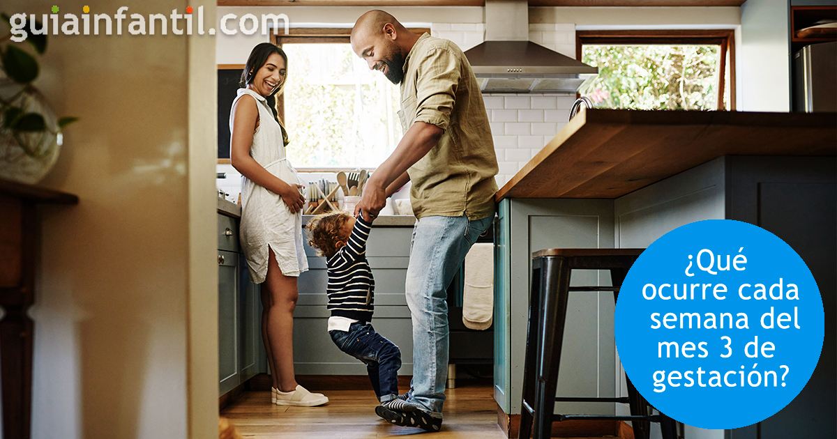 Qué ocurre cada semana del embarazo