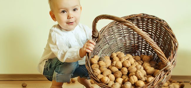 bebés no deberían probar frutos secos