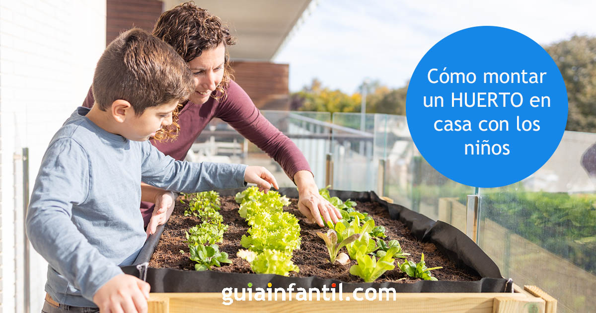 aprender a hacer un huerto en casa