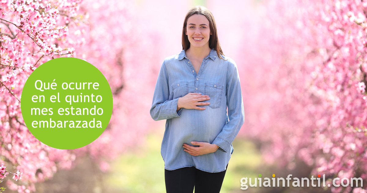 Todo sobre el mes 5 embarazada