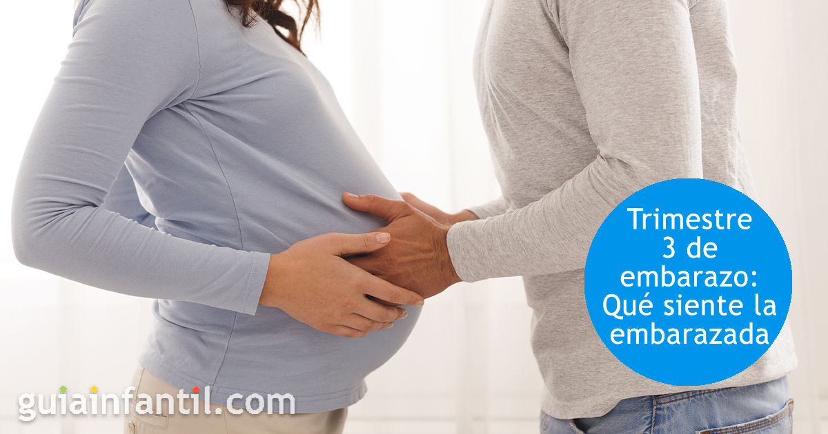 El trimestre 3 del embarazo