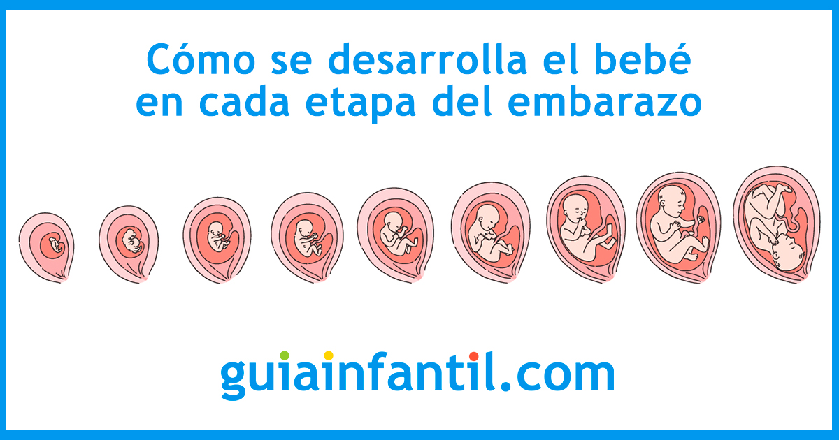 Mi Diario de Embarazo Semana a Semana (Interior en Color): Regalo para  Embarazadas - Registra la Gestación de tu Bebé durante 9 Meses (Ecografías