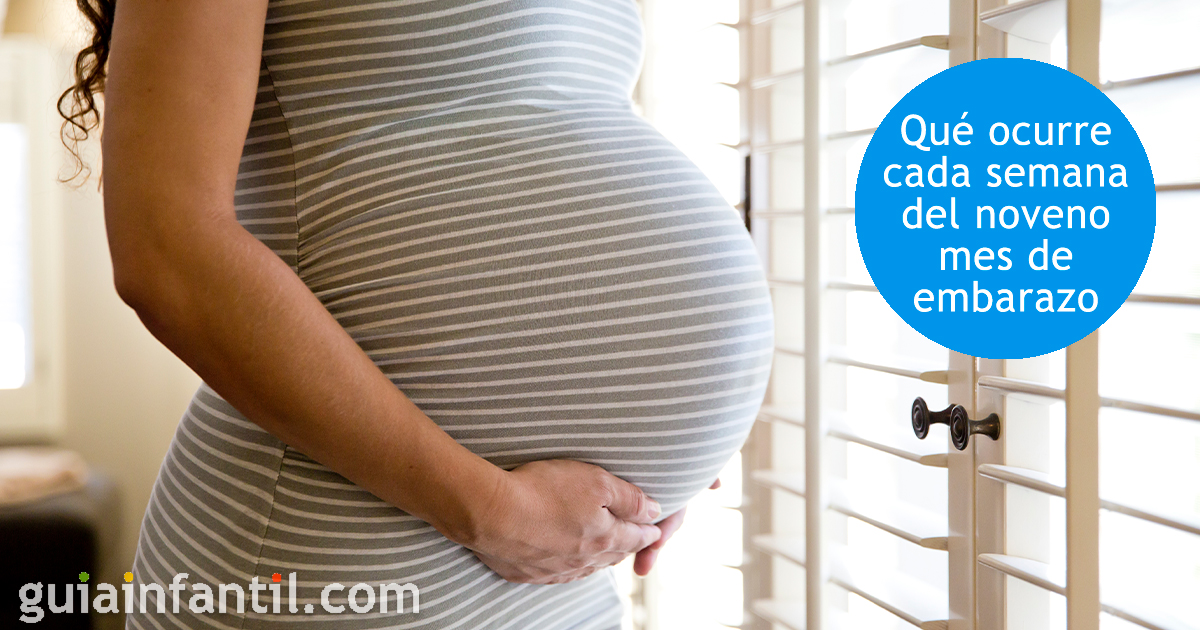 Tercer mes de embarazo: cambios y pruebas - Embarazo semana a semana