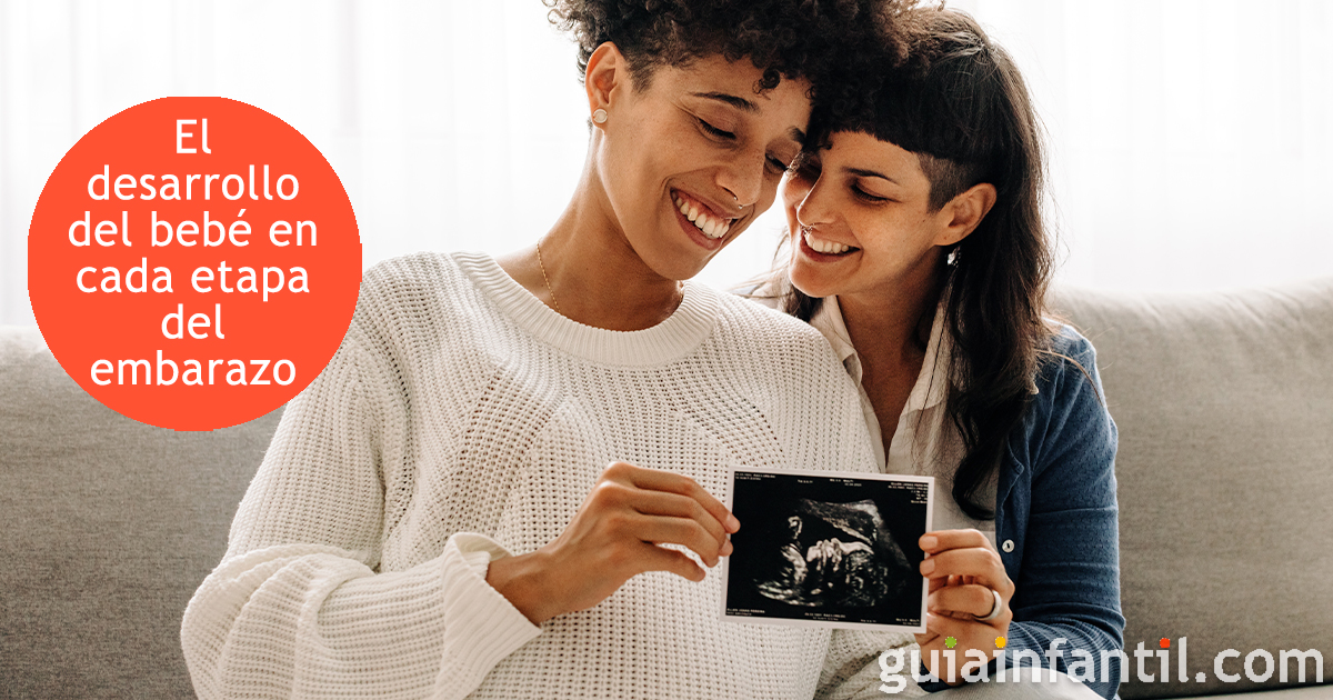 Cómo es el desarrollo del bebé mes a mes