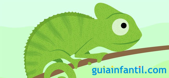 Poesías infantiles sobre animales