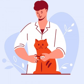 Úngulo, el gato mentiroso. Cuento sobre la sinceridad para niños