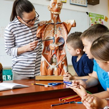 El cuerpo humano. Respuestas a las preguntas de los niños