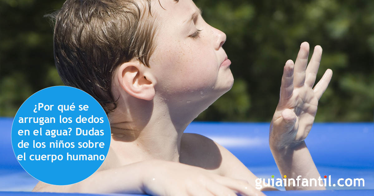 porque se arrugan los dedos en el agua