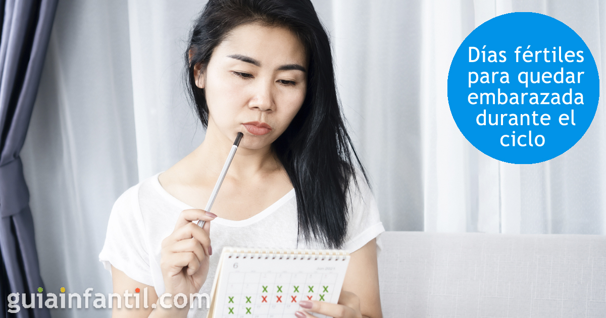 Días fértiles para quedar embarazada durante el ciclo menstrual