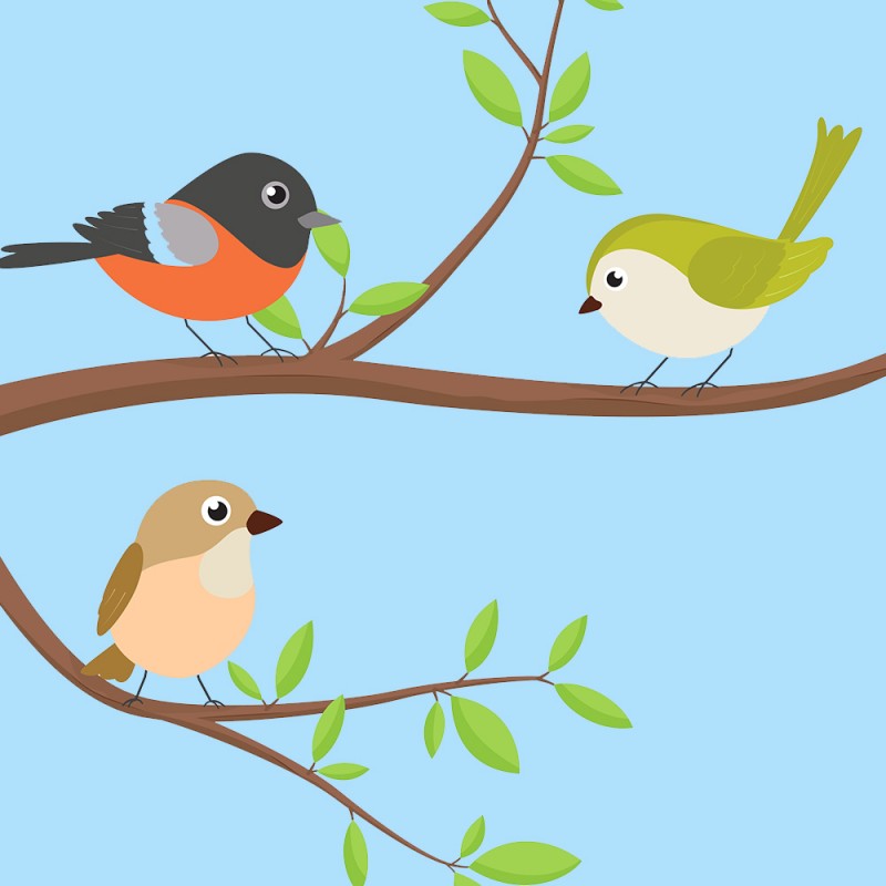 Pajarito perezoso - Cuentos cortos sobre el esfuerzo para niños vagos