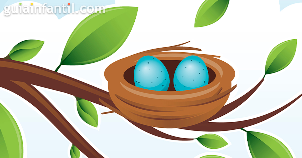 El pajarito perezoso para leer con niños vagos