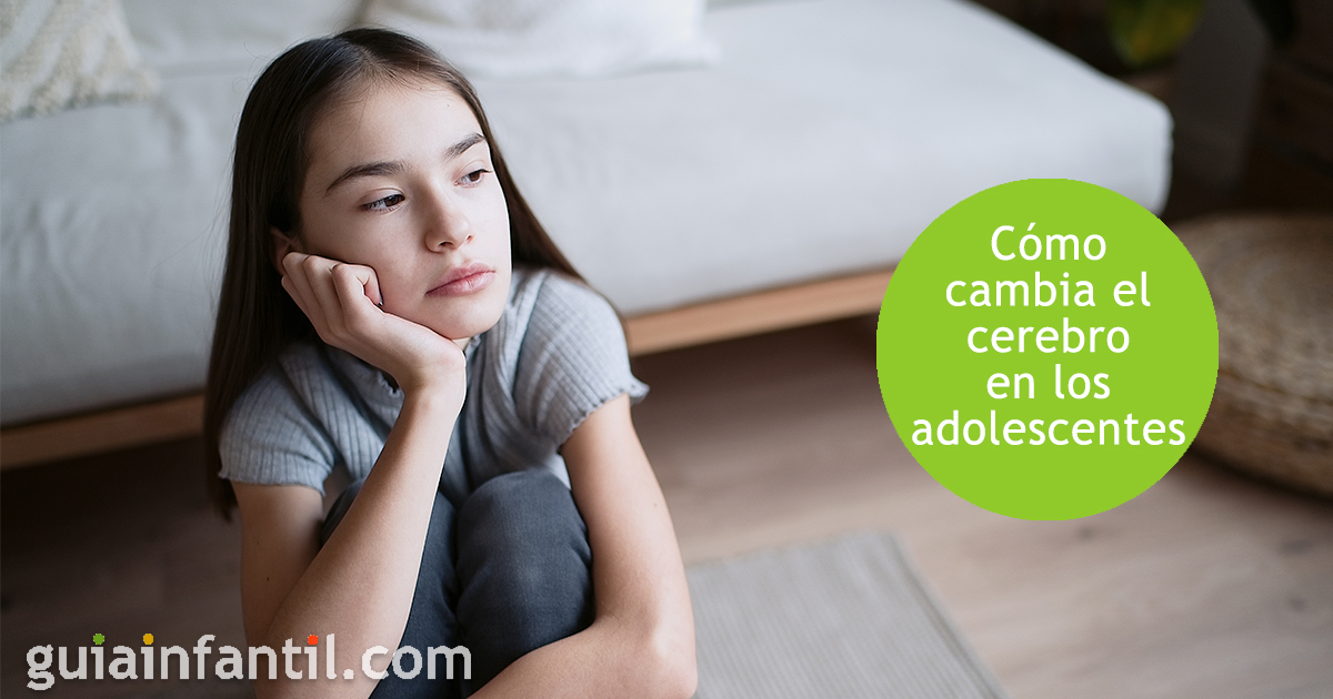 Cómo es el cerebro de los adolescentes