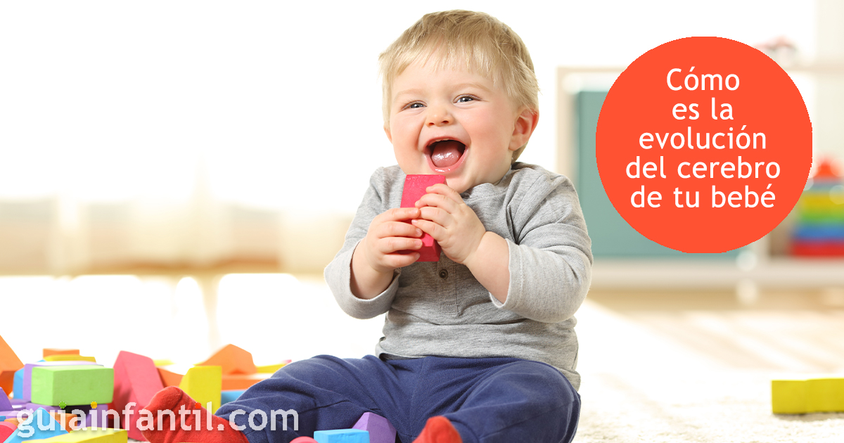 El cerebro de los bebés