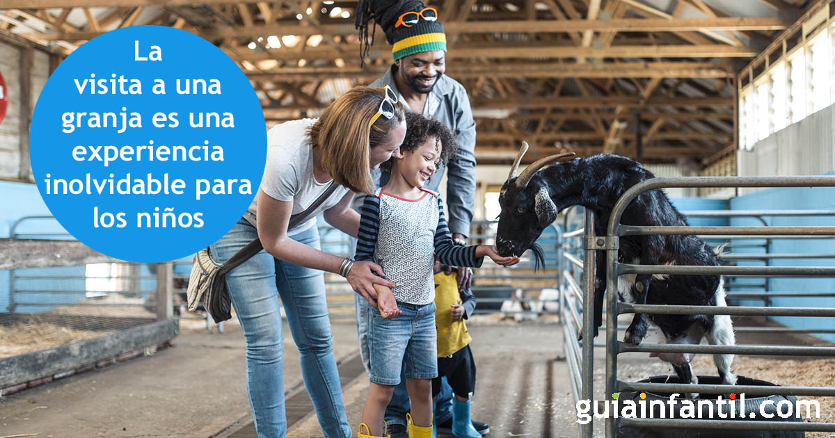 visita a una granja con niños