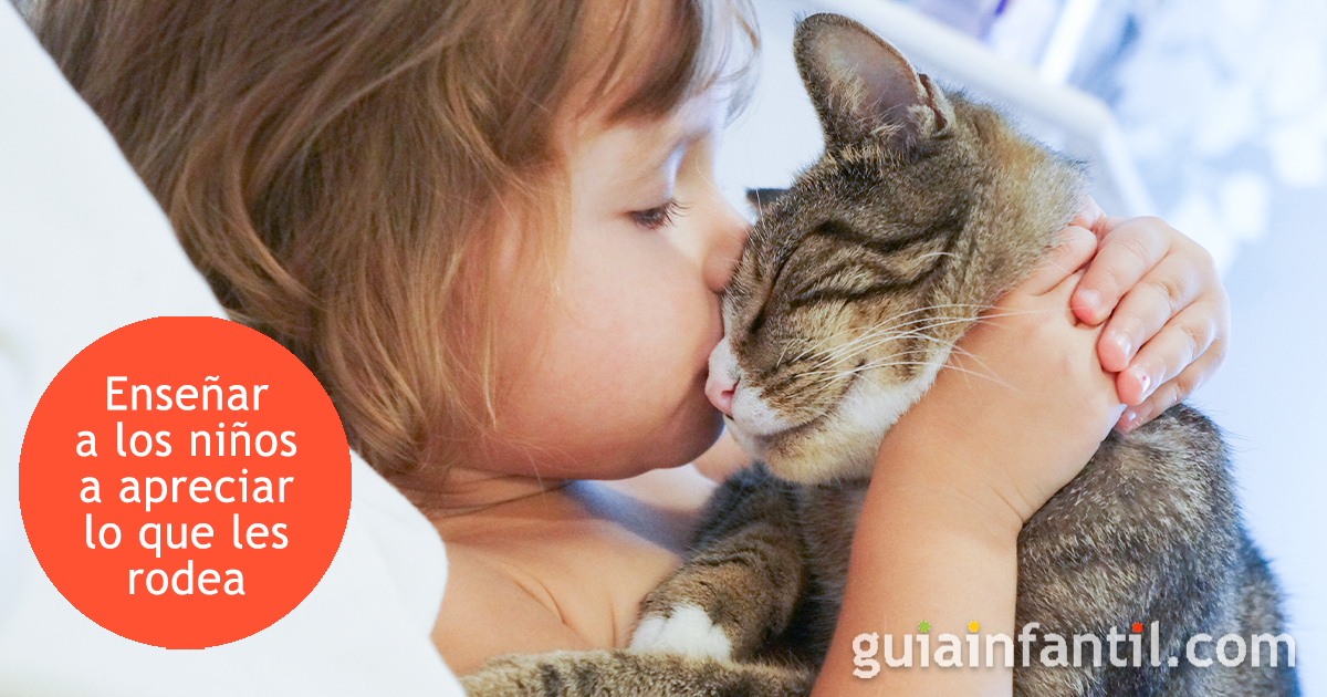 Enseñar a los niños a apreciar lo que les rodea