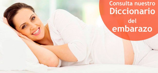diccionario del embarazo