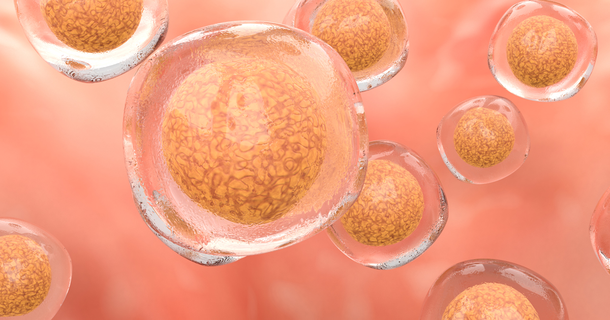 Vitifricar óvulos y donar óvulos