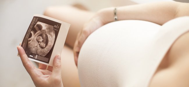 desarrollo del bebé