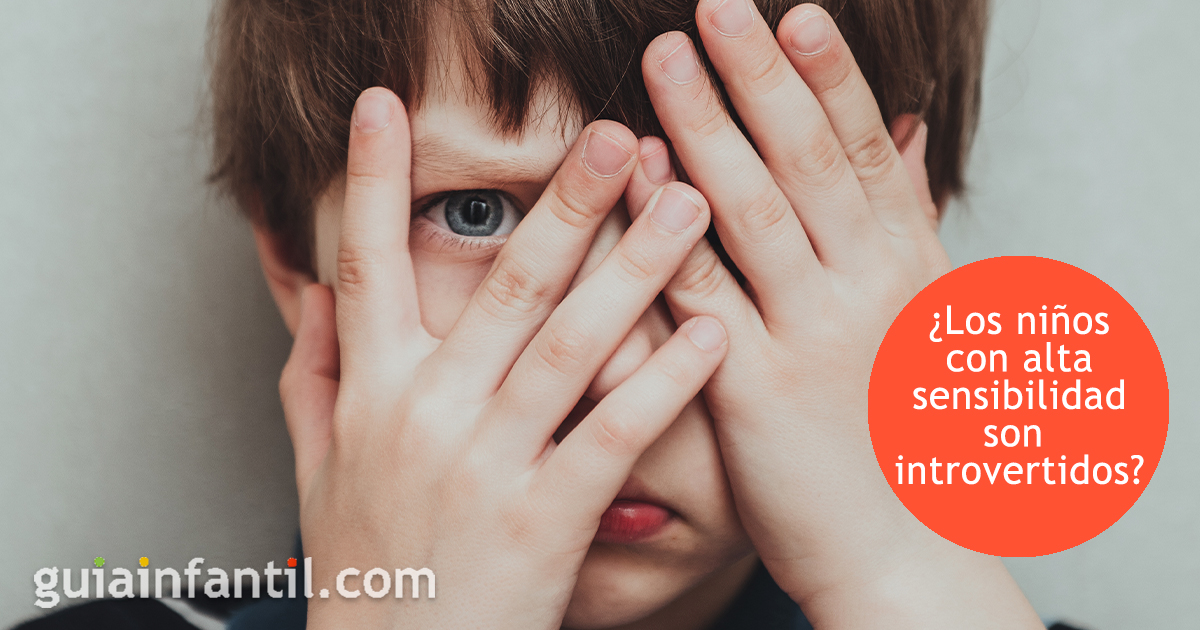 Niños de alta sensibilidad que no son introvertidos