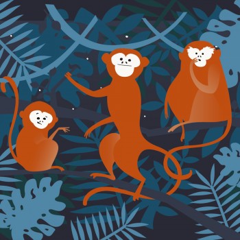Monos refugiados - Cuento para explicar qué es un refugiado a los niños