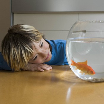 El porqué de los niños. Porqués sobre los peces