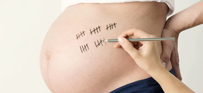 Así irá tu embarazo semana a semana