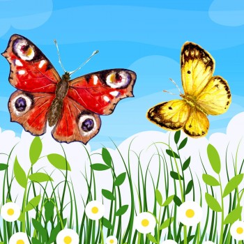 Cuento - Mariposita caprichosa