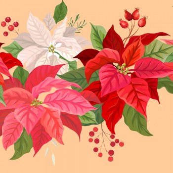 La flor de Nochebuena. Leyenda navideña de México