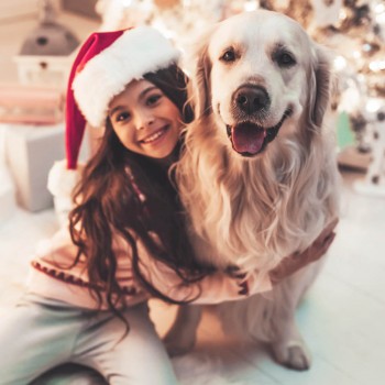 7 motivos para NO regalar por Navidad una mascota a los niños
