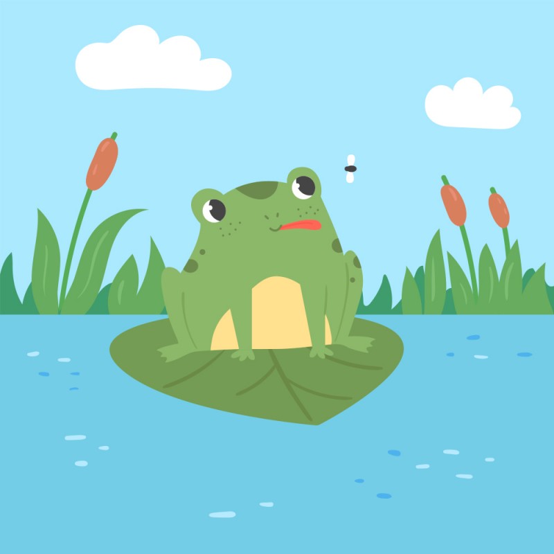 El sapito y la luna - Cuento para enseñar a los niños a ser amables