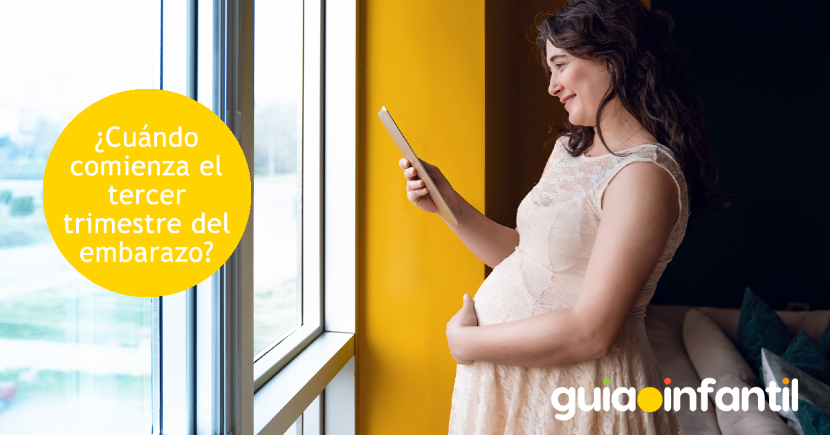 ¿Cuándo comienza el tercer trimestre del embarazo? 