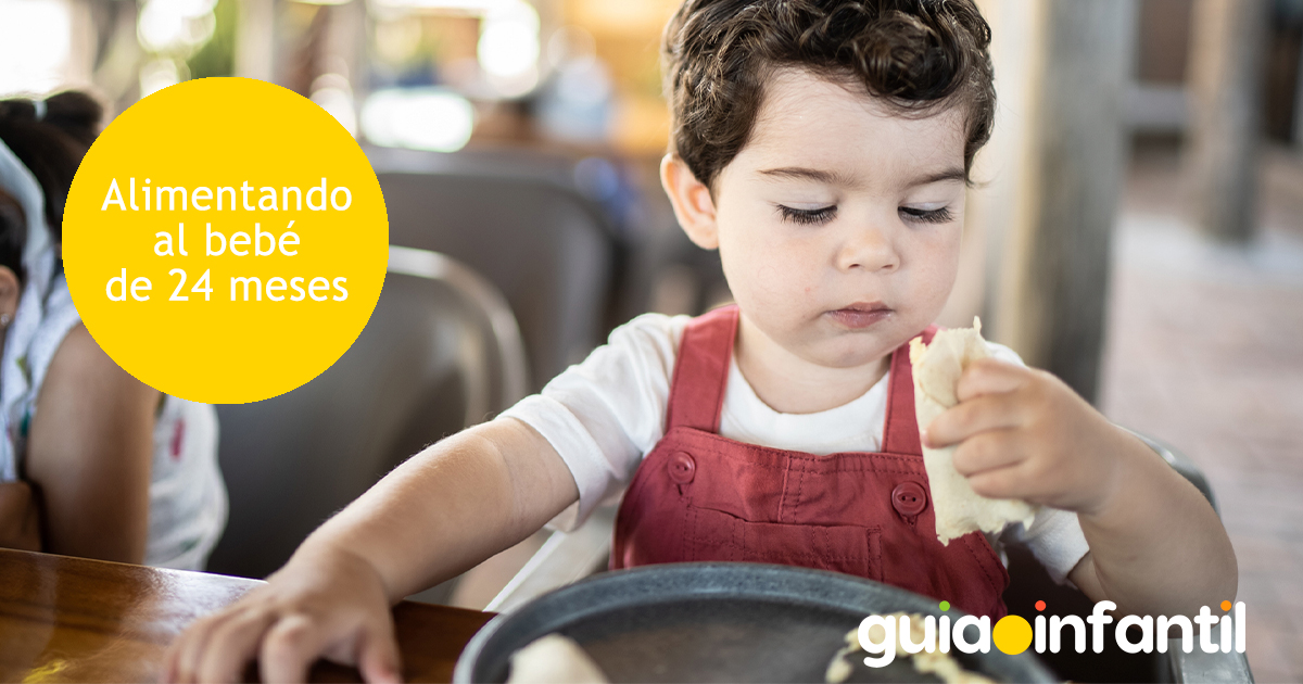 Alimentando al bebé de 24 meses
