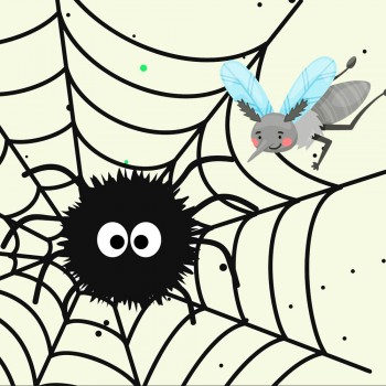 La mosca y la araña