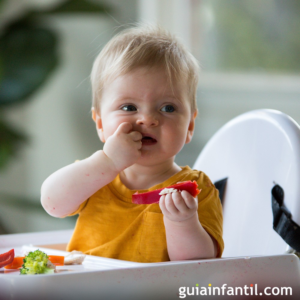 A qué edad debe aprender mi bebé a usar la cuchara para comer?, Estilo de  Vida Madres