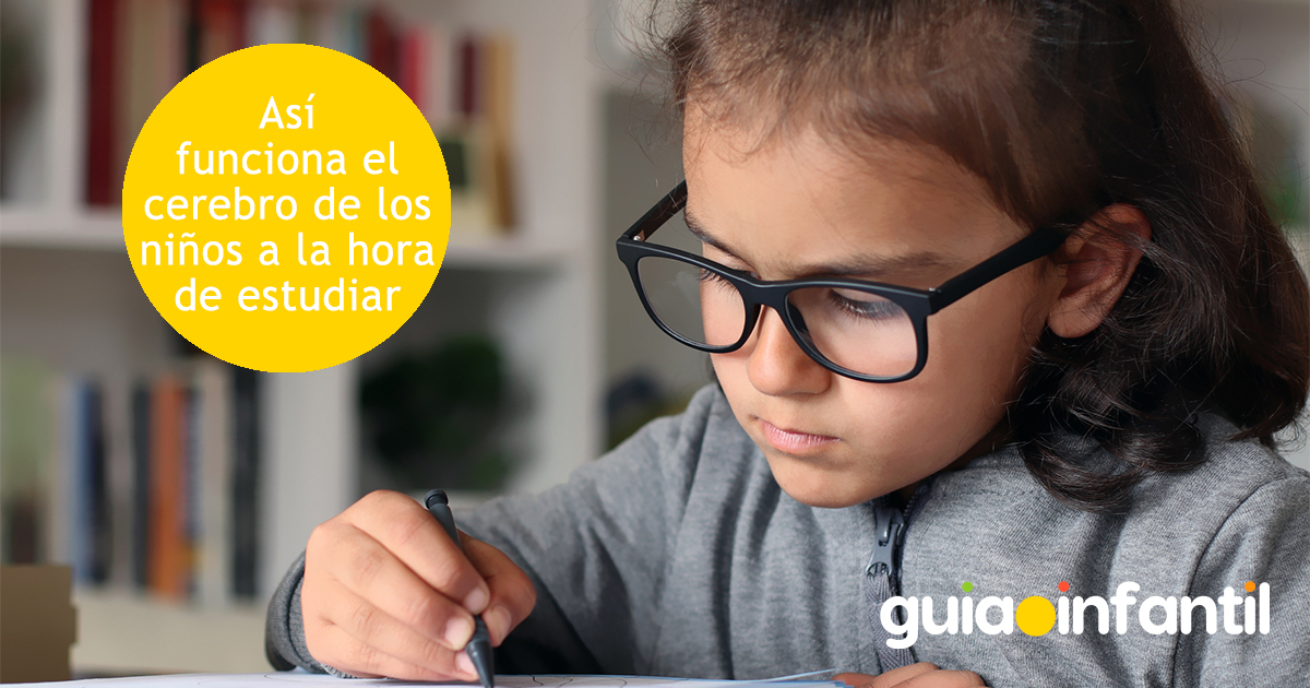 Cómo funciona el cerebro de los niños al estudiar