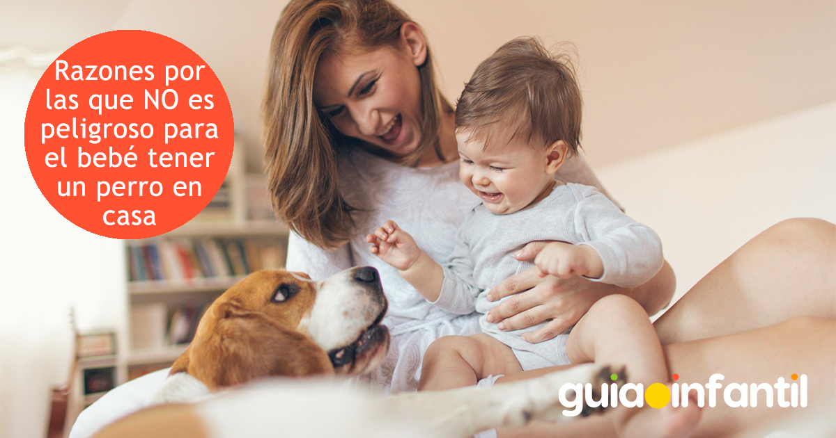 Por qué no es peligrosa una mascota para el bebé
