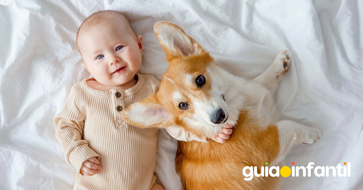 El bebé y la mascota