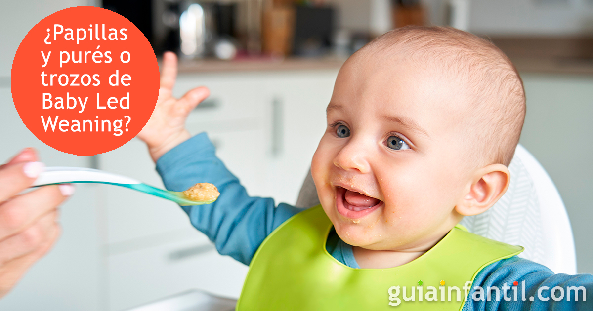 Menú diario para bebés de 6 a 9 meses - PequeRecetas
