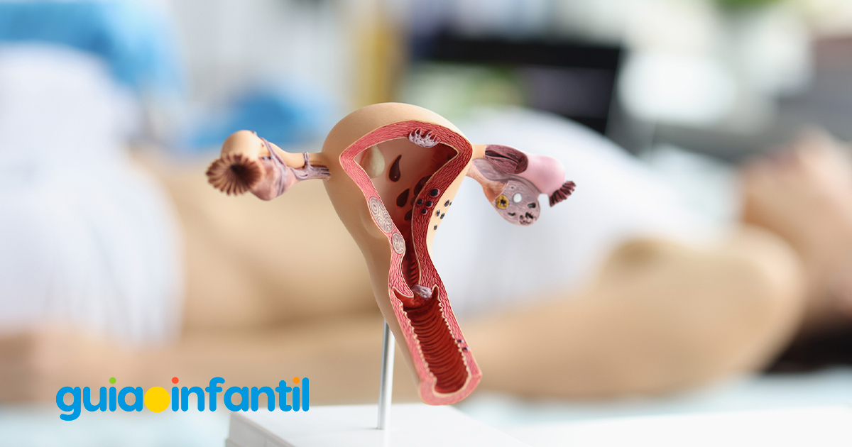 La disminución de la fertilidad