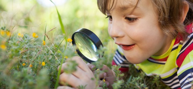 Libro: Curiosidades para niño, más de 380 datos increíbles del mundo por Daniela HU