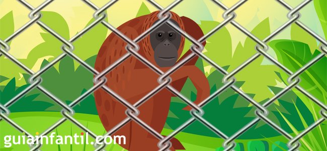 Serie de cuentos cortos para niños de animales