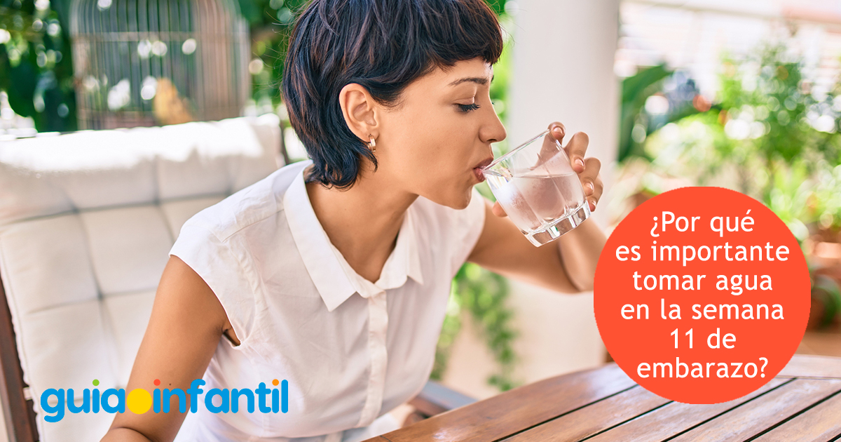 Por qué tomar agua en el embarazo