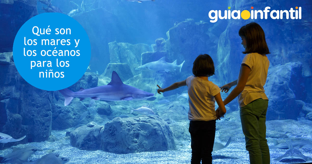 preguntas de los niños sobre mares y océanos