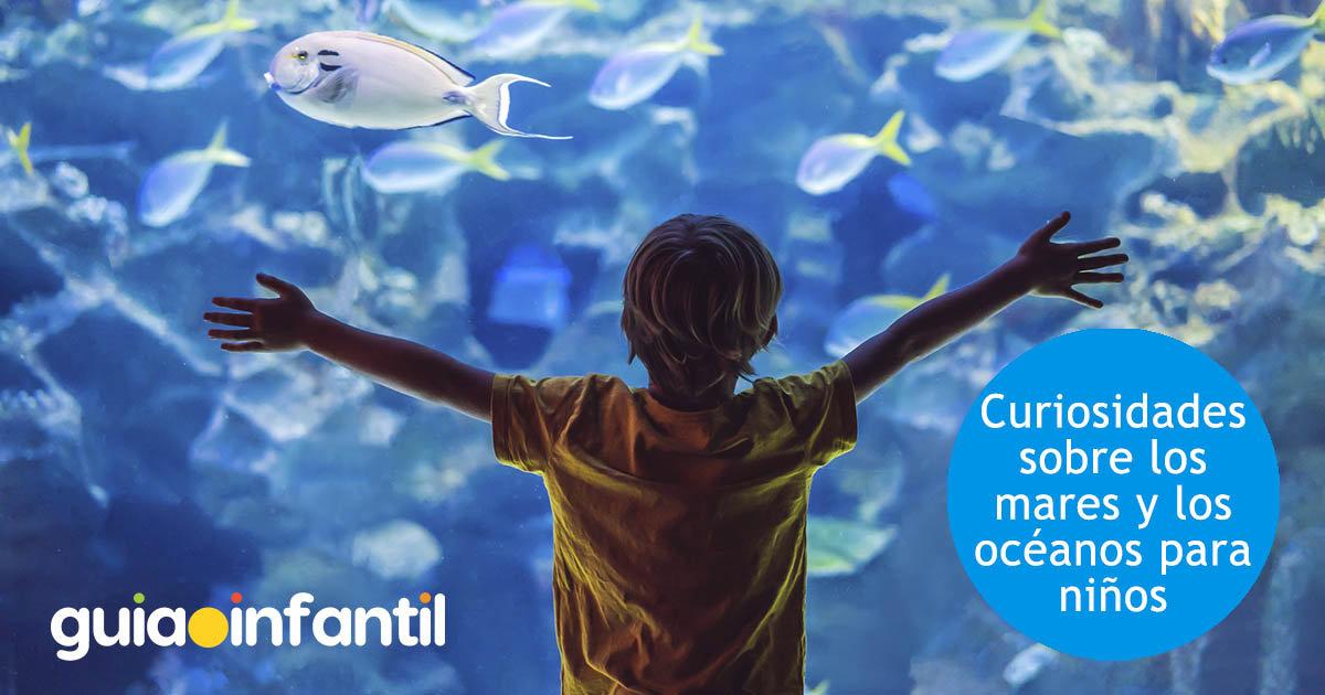 respuestas a las curiosidades de los niños sobre los océanos