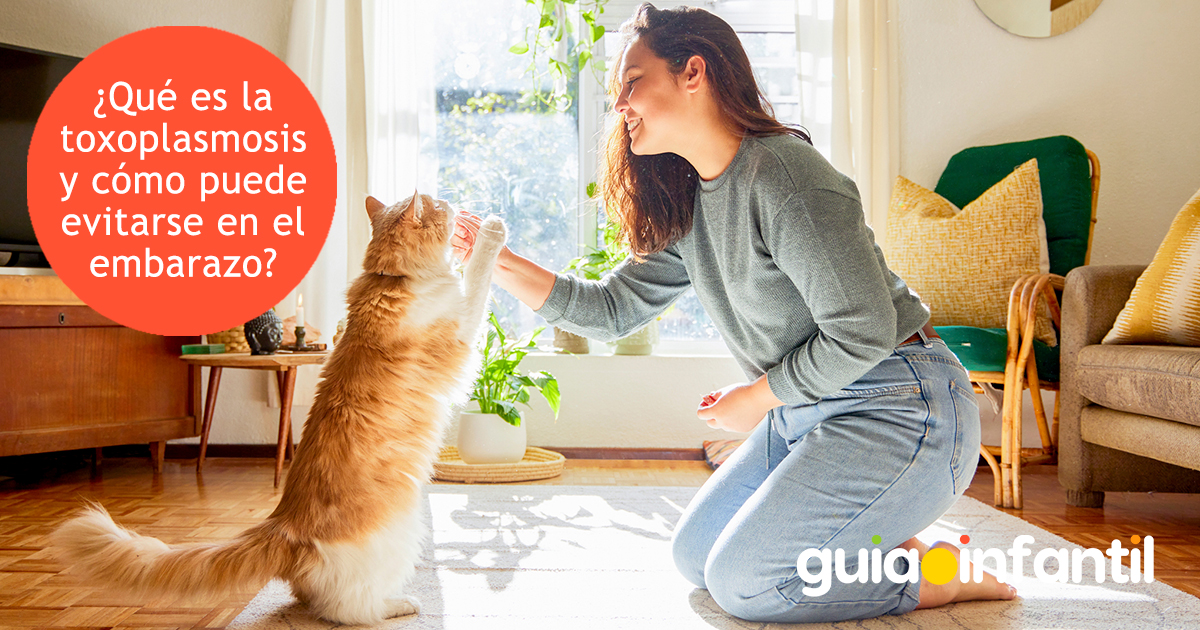 La toxoplasmosis en el embarazo