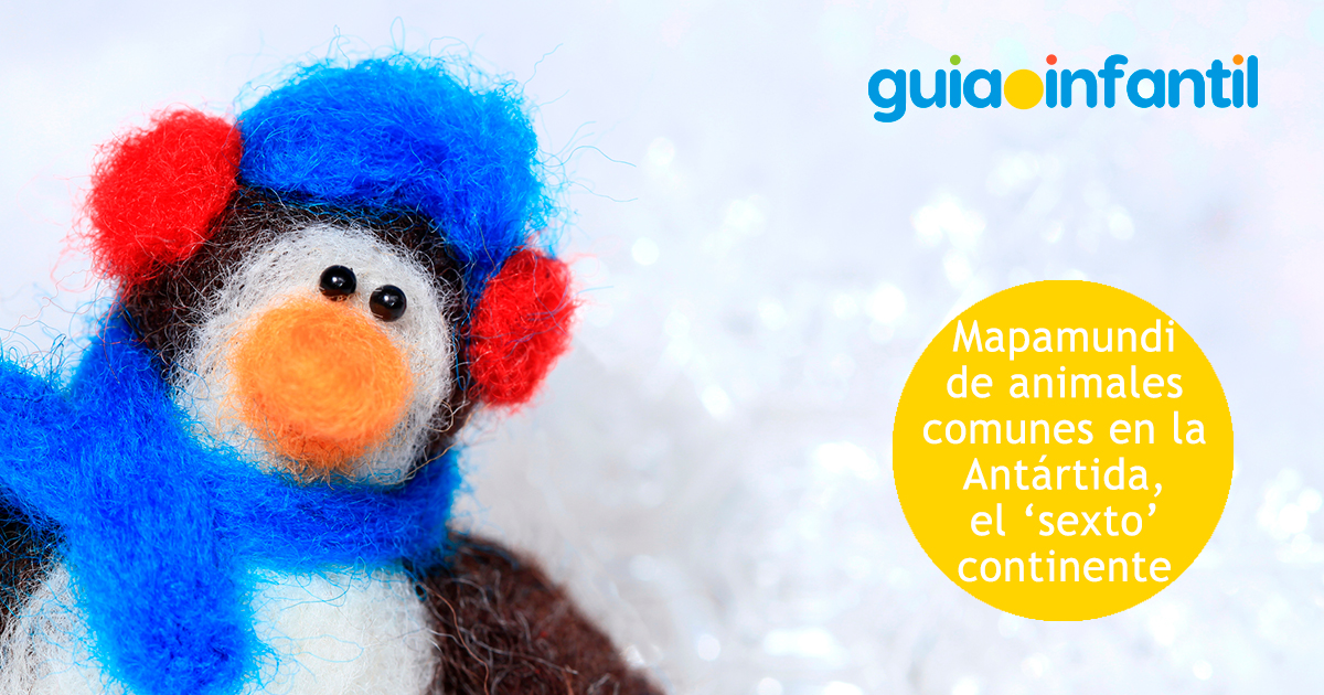 Animales comunes de la Antártida